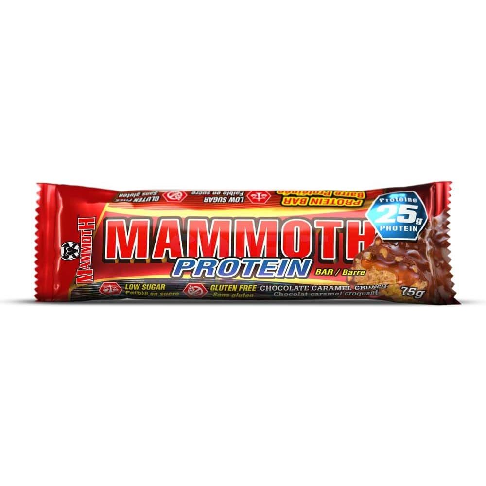 Barre protéinée Mammouth (1 barre)