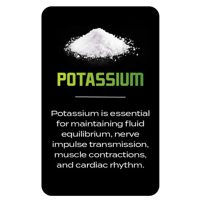 Bowmar Nutrition Hydrate (20 individual servings) - Top Nutrition and Fitness