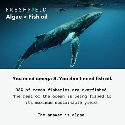 Freshfield VEGAN Omega-3 (60 Caps) - Top Nutrition and Fitness