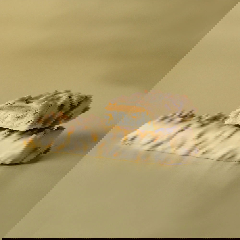 Grenade Carb Killa Keto Protein Bars (1 bar) - Top Nutrition and Fitness Canada White Chocolate Cookie (NOT Oreo please see below)-Dark Chocolate Mint-Fudge Brownie-Caramel Chaos-Peanut nutter