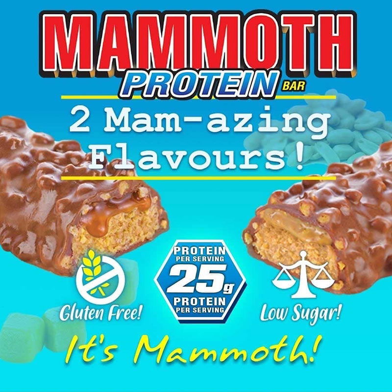 Mammoth Protein Bar (1 bar)