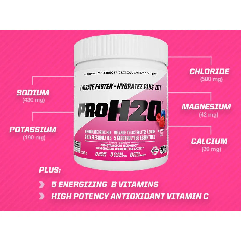 PVL Pro H20 Sugar-Free Electrolytes (255g)