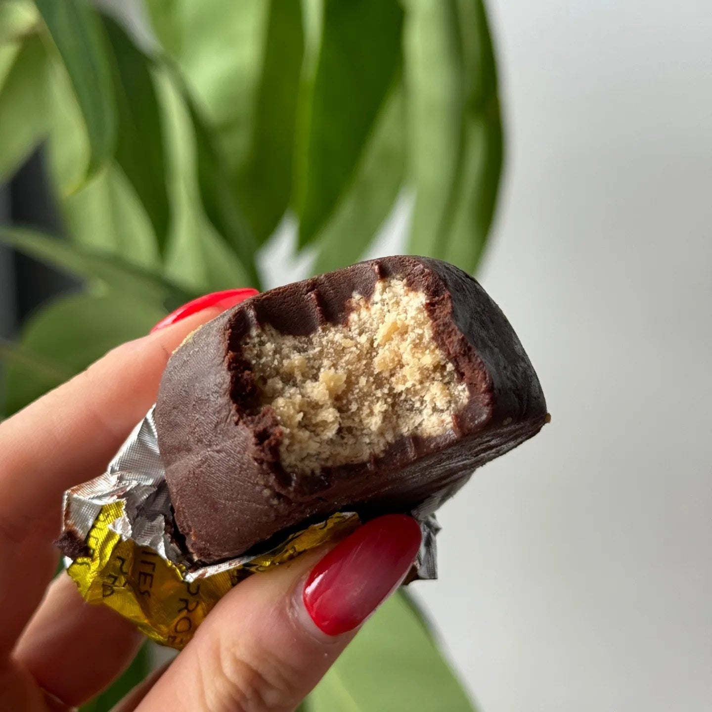 ProBites Protein Balls (1 pack of 2 bites) - Top Nutrition and Fitness