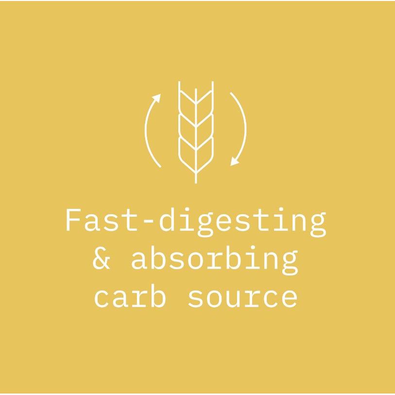 Prozis Maltodextrin Unflavoured (900g) - Top Nutrition and Fitness