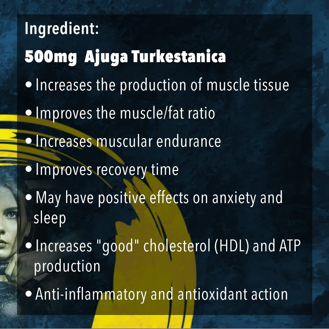 Warrior Turkesterone (60 capsules) - Top Nutrition and Fitness