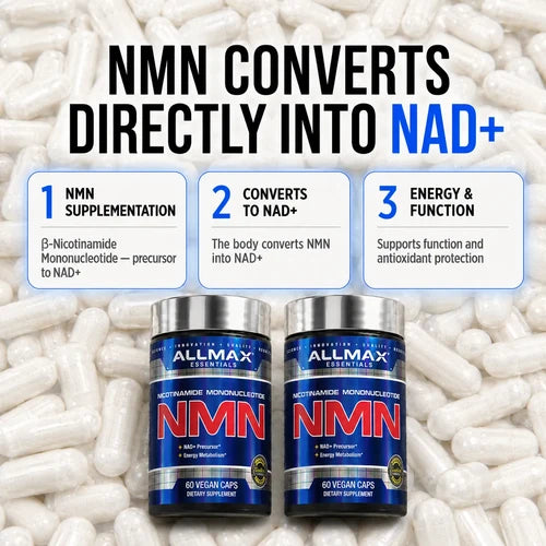 How Allmax NMN works — NMN supplement converts to NAD+ for cellular energy, function and antioxidant protection