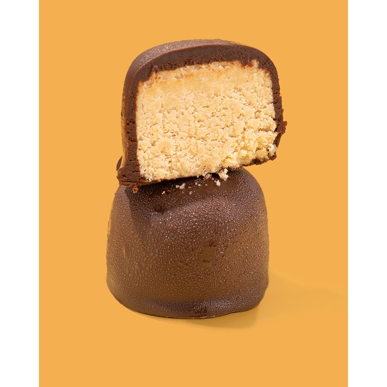 ProBites Protein Balls (1 pack of 2 bites) — Peanut Butter Coconut front