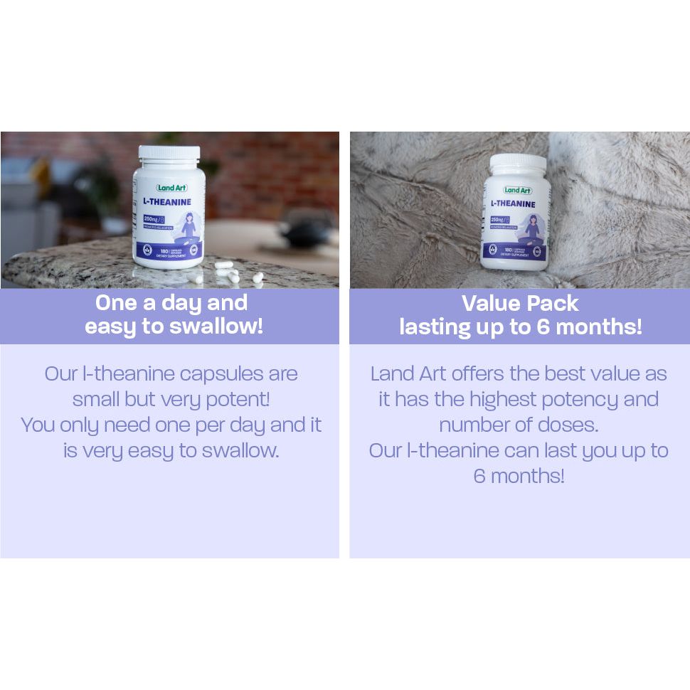 Land Art L-Theanine (Non-Drowsy) (250Mg - 180 Capsules) - Top Nutrition and Fitness 