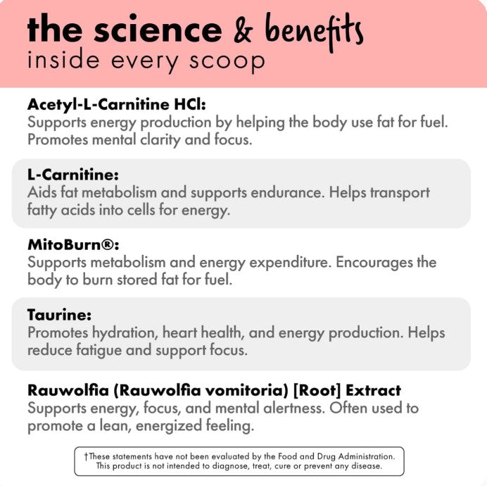 Bowmar Nutrition MELT Powder Fat Burner (20 servings)