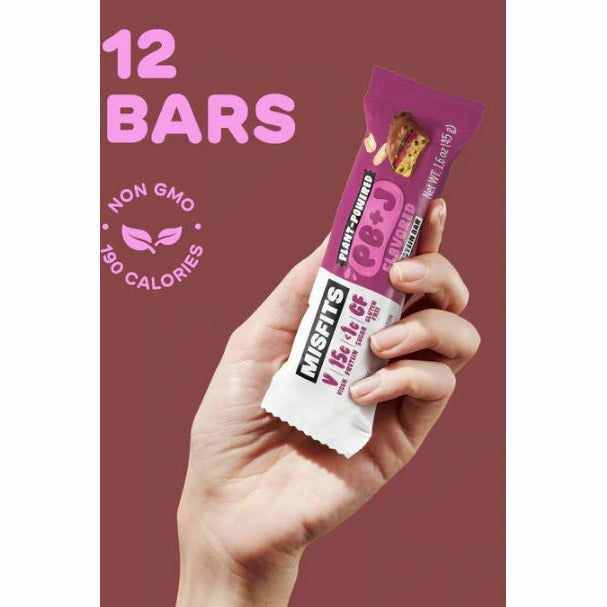 Misfits VEGAN Protein Bar (1 bar) 