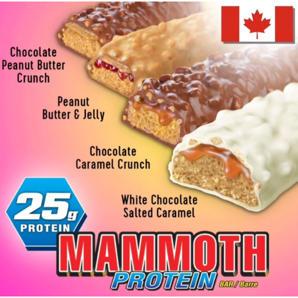 Mammoth GF 25g Protein Bar (1 bar)