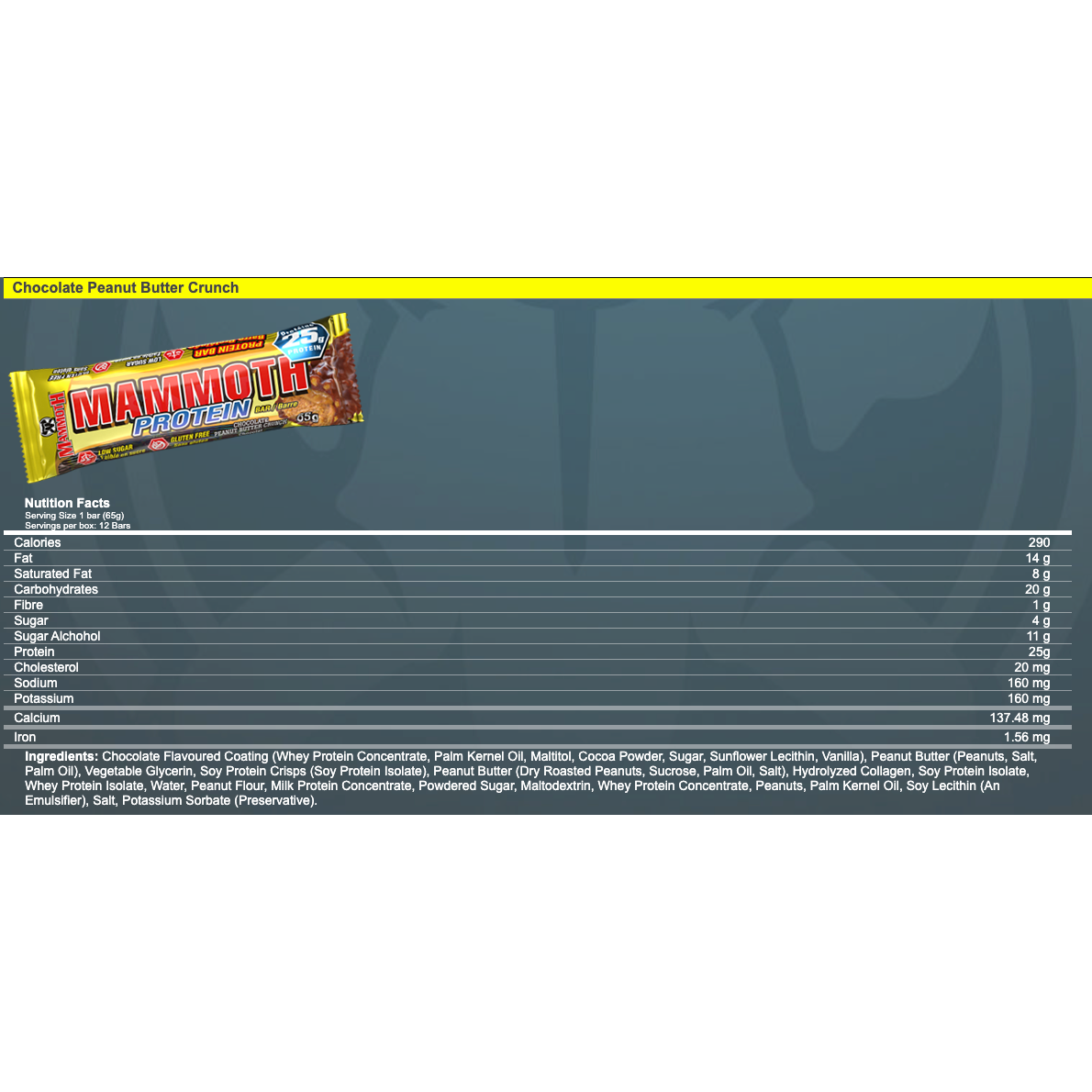 Mammoth GF 25g Protein Bar (1 bar)
