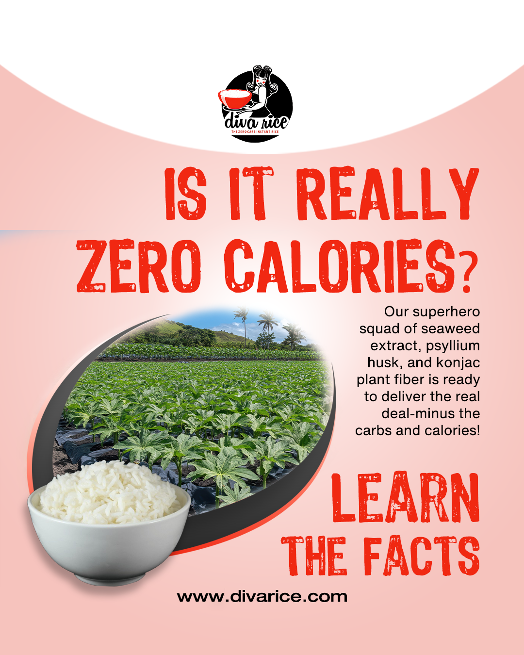 Diva Rice Zero Carb Rice (1 bag)