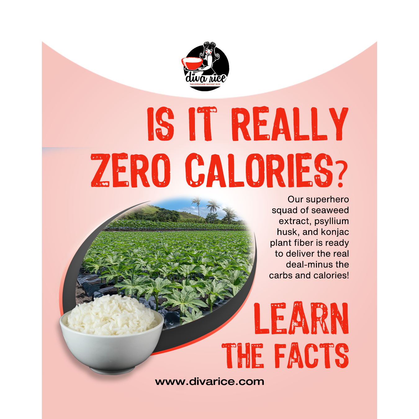 Diva Rice Zero Carb Rice | Keto Low-Calorie Rice Alternative Canada (1 Bag) — ingredients label