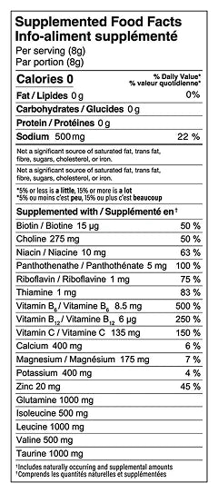 SIIP Electrolyte Hydration Stick with Aminos & BCAAs — Sugar-Free (1 sachet)