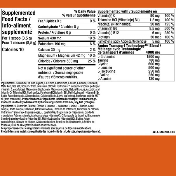 PVL Pro H20 Sugar-Free Electrolytes (255g)