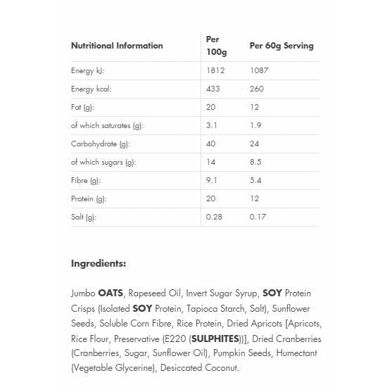 Mountain Joe's Vegan Protein Granola Bar (1 bar) BEST BY FEB 3/2023 protein snacks mountain joe's