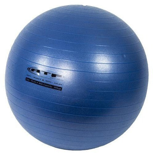 ATF Sports Swiss Ball - Top Nutrition and Fitness Canada